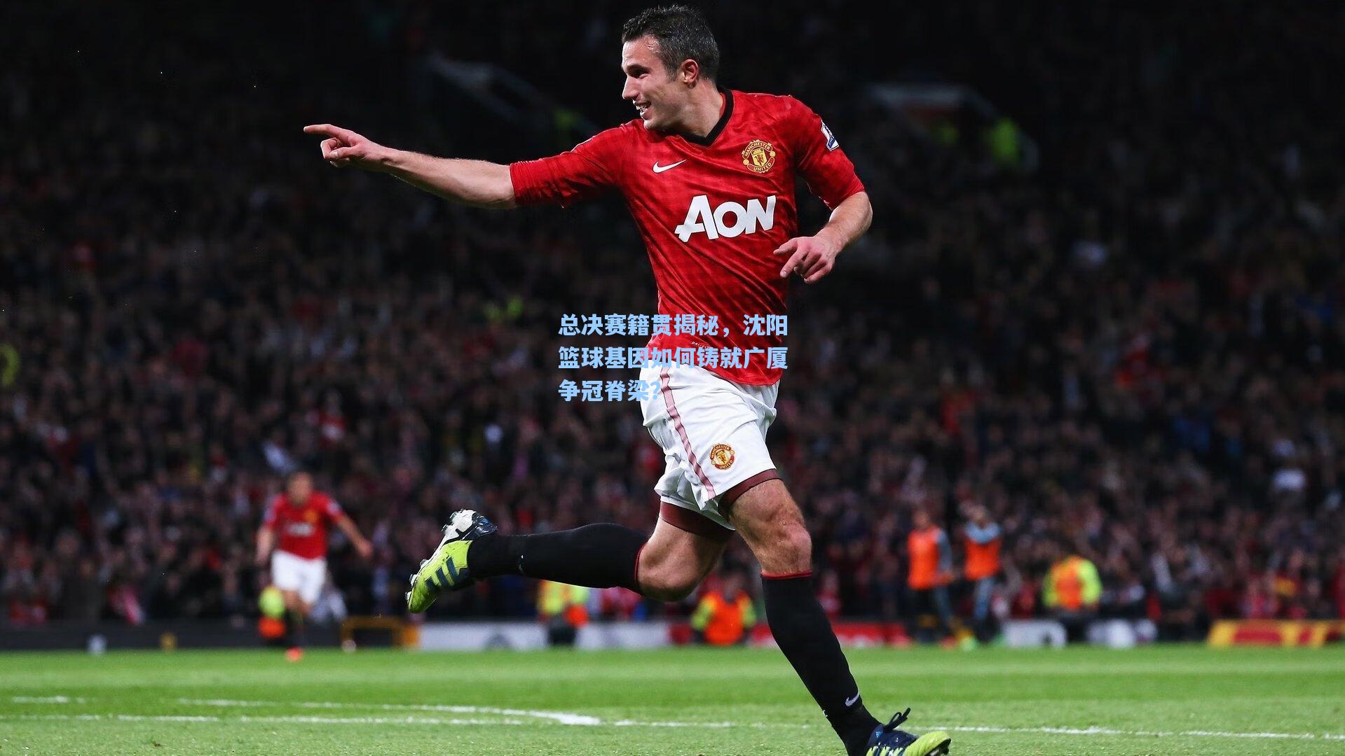 总决赛籍贯揭秘，沈阳篮球基因如何铸就广厦争冠脊梁？